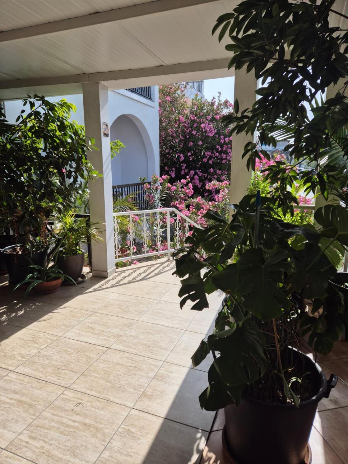 איה נאפה Myriama Apartments מראה חיצוני תמונה