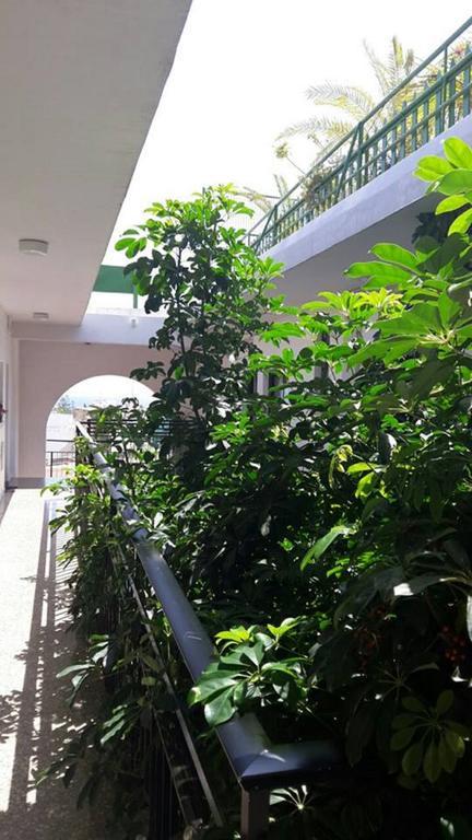 איה נאפה Myriama Apartments מראה חיצוני תמונה