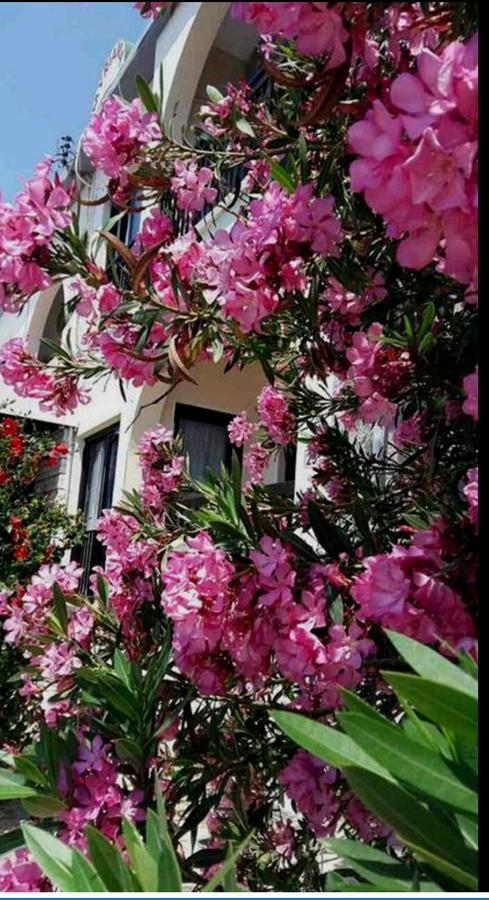 איה נאפה Myriama Apartments מראה חיצוני תמונה
